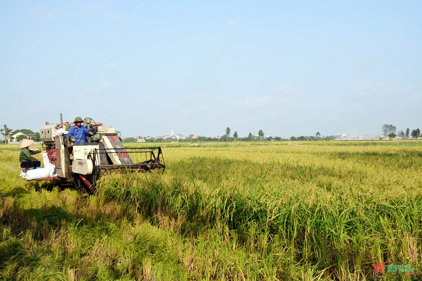 Bảo vệ sức khỏe con người, an ninh lương thực và môi trường cho Việt Nam
